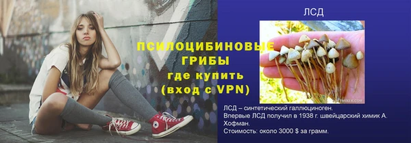 соль ск Балабаново