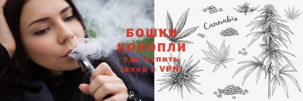 стаф Арсеньев