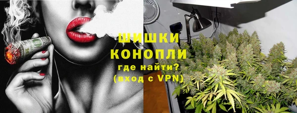 ГАЛЛЮЦИНОГЕННЫЕ ГРИБЫ Рославль