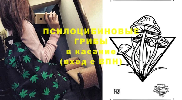 соль ск Балабаново