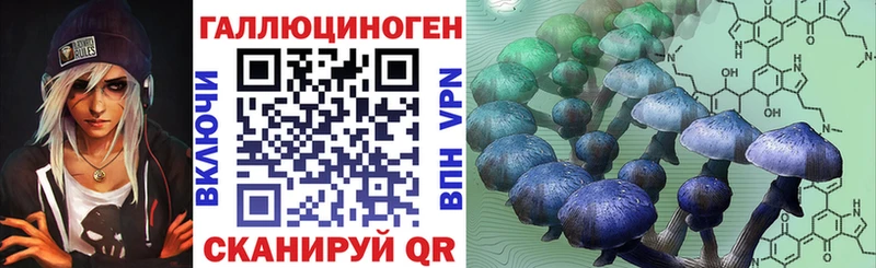Галлюциногенные грибы Cubensis  Арск 